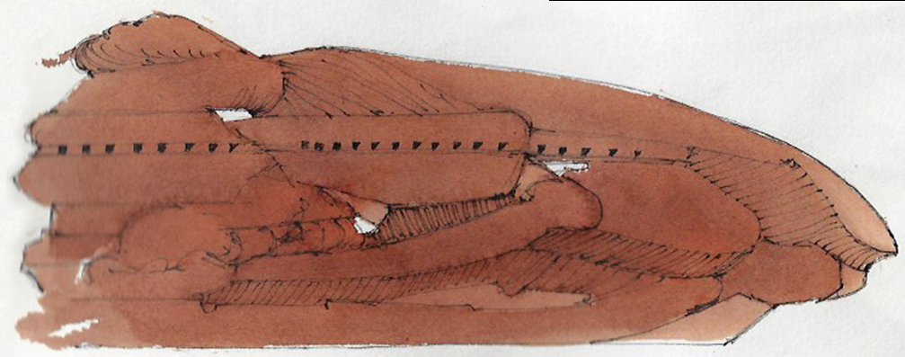 Slide 5